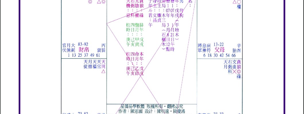 ZI WEI DOU SHU ASTROLOGY