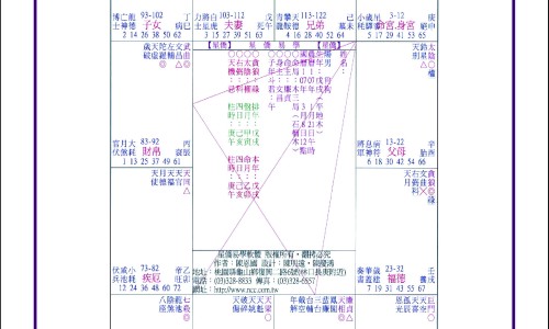 ZI WEI DOU SHU ASTROLOGY