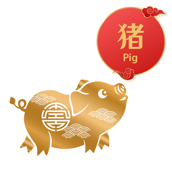 12Pig